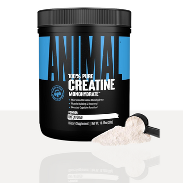 Animal Creatine Monohydrate Powder