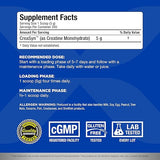 ALLMAX Essentials CREATINE - 1000 g Powder