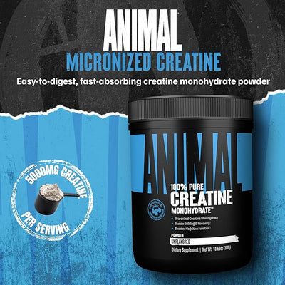 Animal Creatine Monohydrate Powder