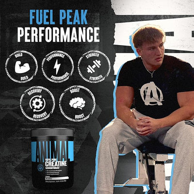 Animal Creatine Monohydrate Powder