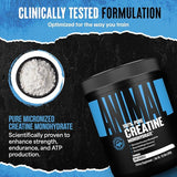 Animal Creatine Monohydrate Powder