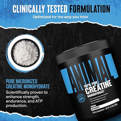 Animal Creatine Monohydrate Powder