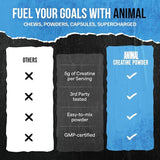 Animal Creatine Monohydrate Powder